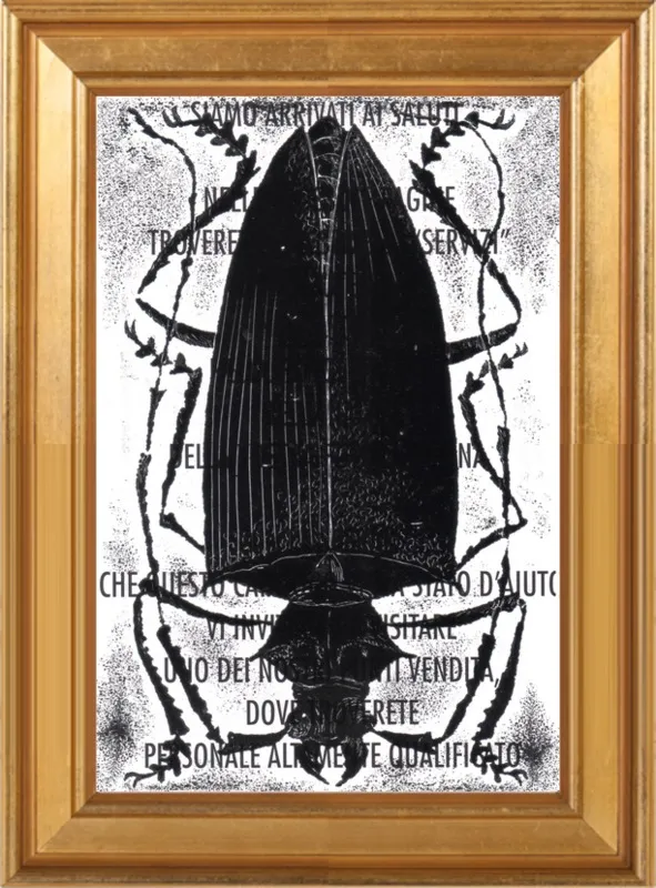 Black Beetle on Words by Tennopent Sooster for Artfully Walls
