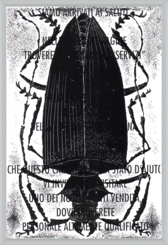 Black Beetle on Words by Tennopent Sooster for Artfully Walls