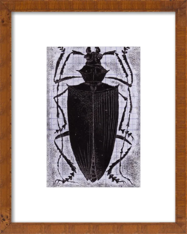 Black Beetle on Grey by Tennopent Sooster for Artfully Walls
