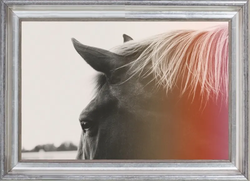 Pink Pony by Alicia Bock for Artfully Walls