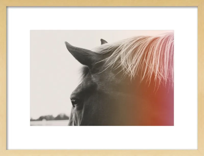 Pink Pony by Alicia Bock for Artfully Walls