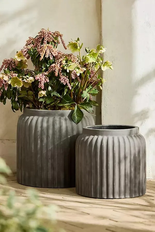 Fiber Dolly Jar Planter