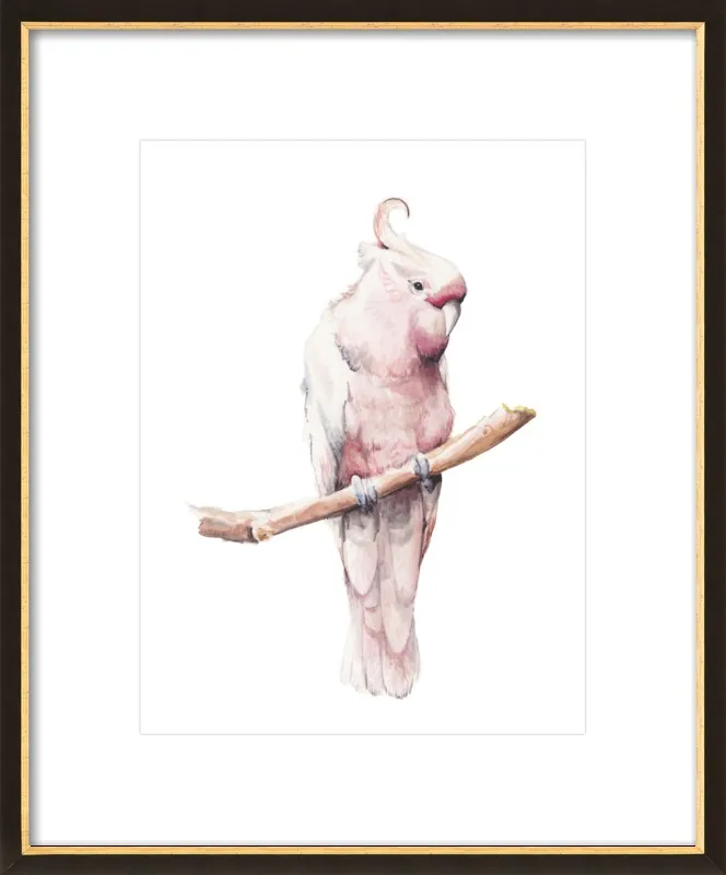 Rose Breasted Cockatoo Watercolor by Lauren Rogoff for Artfully Walls