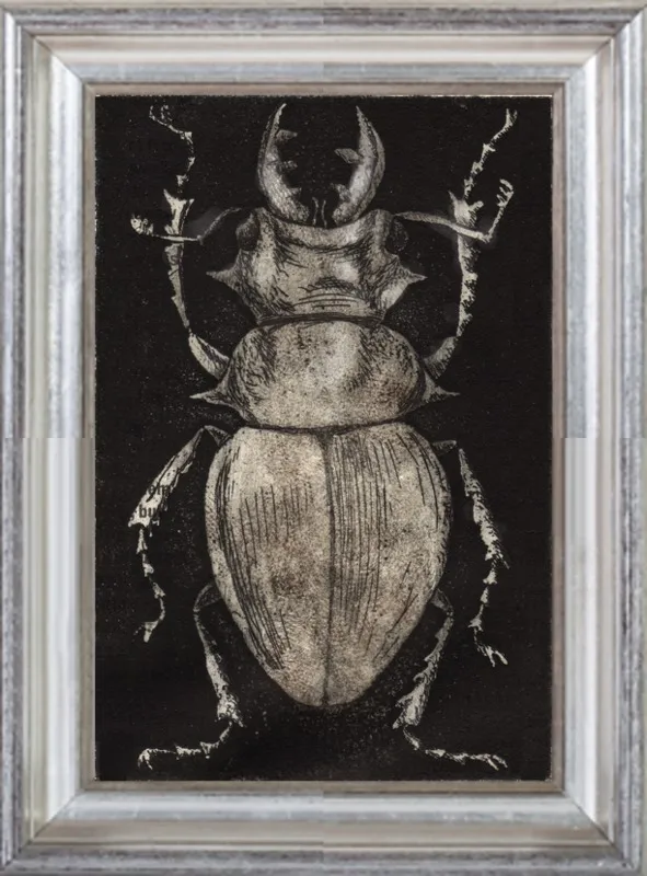 Grey Beetle on Black by Tennopent Sooster for Artfully Walls