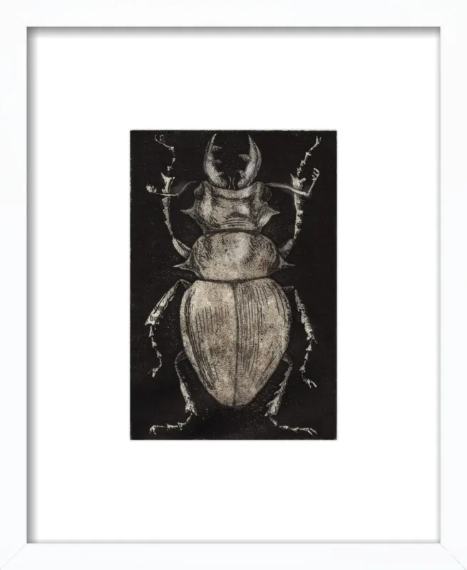 Grey Beetle on Black by Tennopent Sooster for Artfully Walls