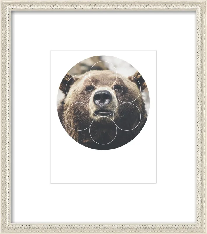 Big Bear Buddy - Geometric Photography by Emiliano Deificus for Artfully Walls