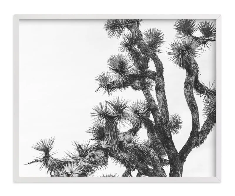 Joshua Tree In September Limited Edition Fine Art Print