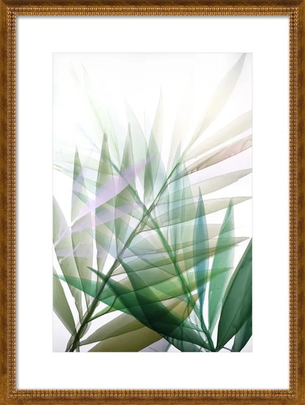 Tropical Study no. 8 by Marina Dunbar  for Artfully Walls