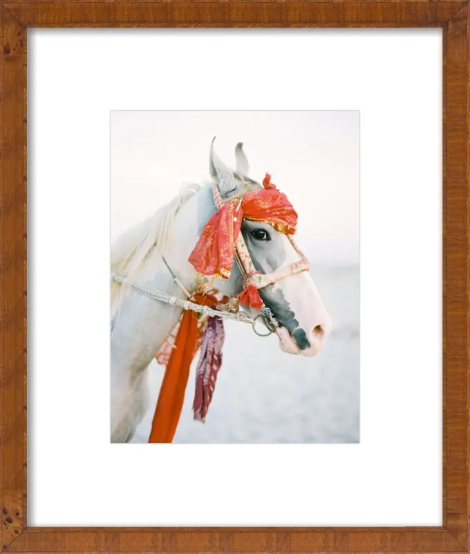Marwari by Andrew Jacona for Artfully Walls