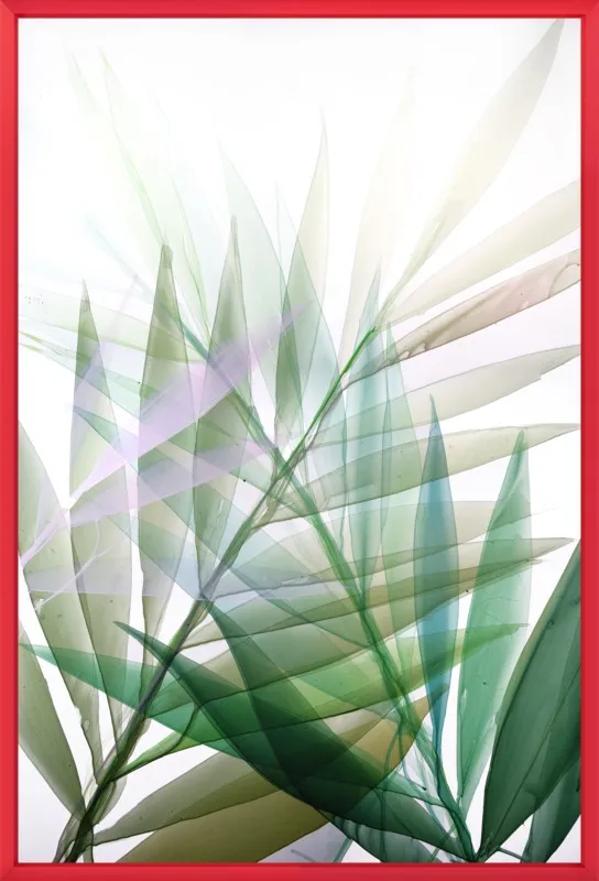 Tropical Study no. 8 by Marina Dunbar  for Artfully Walls