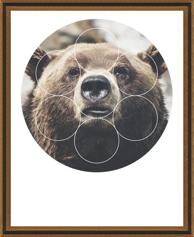 Big Bear Buddy - Geometric Photography by Emiliano Deificus for Artfully Walls