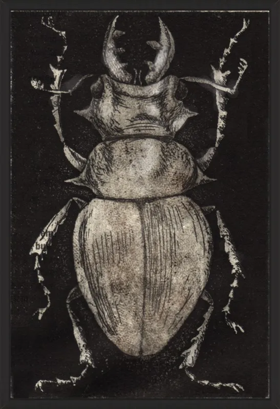 Grey Beetle on Black by Tennopent Sooster for Artfully Walls
