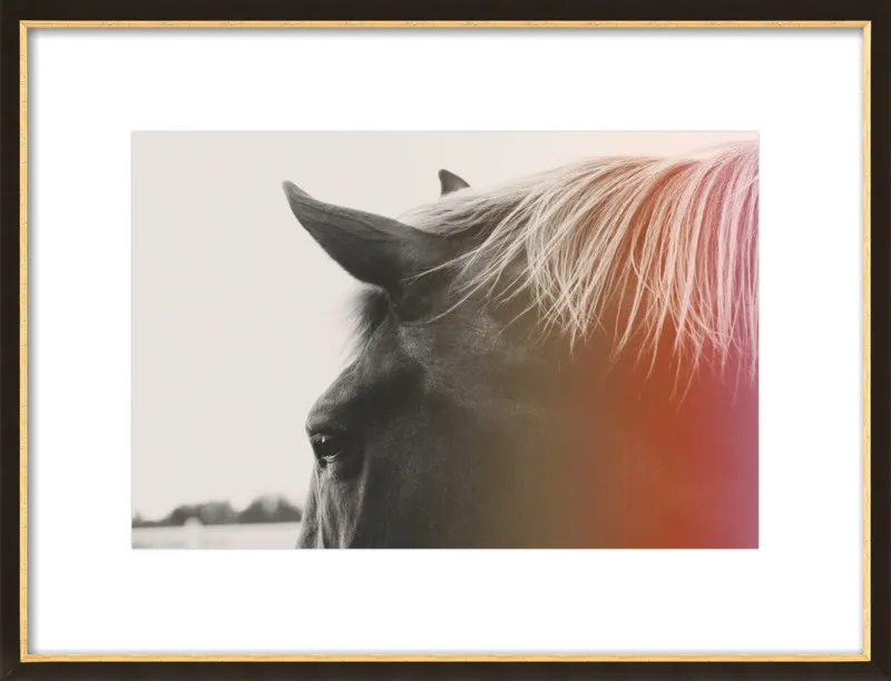 Pink Pony by Alicia Bock for Artfully Walls