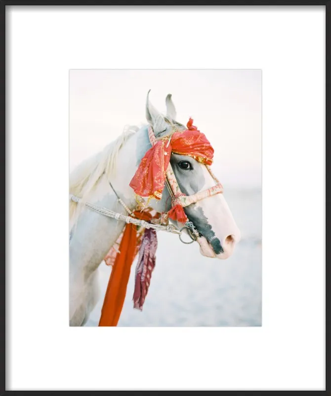 Marwari by Andrew Jacona for Artfully Walls