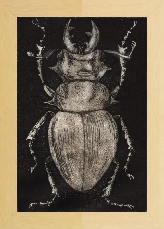Grey Beetle on Black by Tennopent Sooster for Artfully Walls
