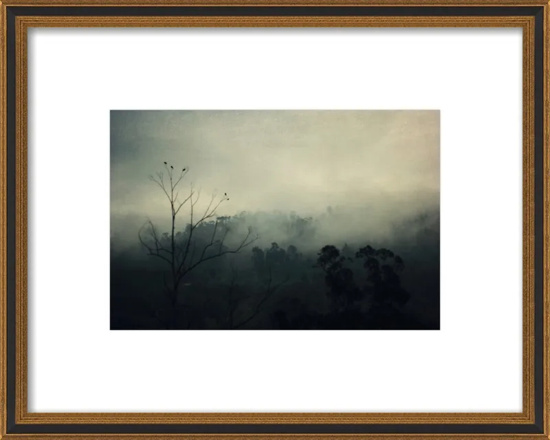 bird song by Ingrid Beddoes for Artfully Walls