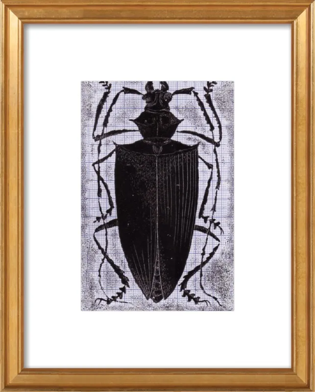 Black Beetle on Grey by Tennopent Sooster for Artfully Walls