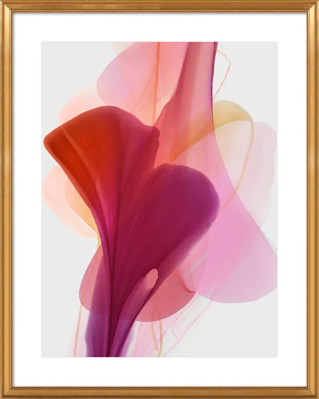 Abstract Flora Bloomlands 33 by Marta Spendowska for Artfully Walls