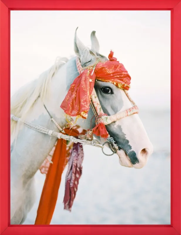 Marwari by Andrew Jacona for Artfully Walls