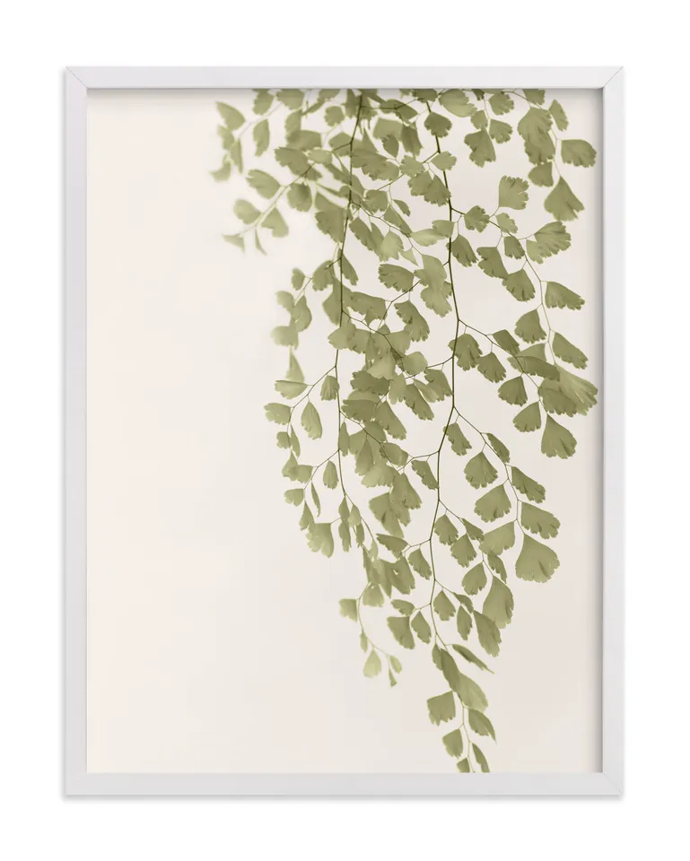 Softness Limited Edition Fine Art Print