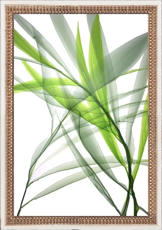 Tropical Study no. 3 by Marina Dunbar  for Artfully Walls