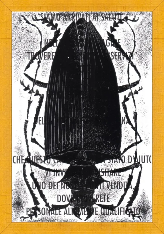 Black Beetle on Words by Tennopent Sooster for Artfully Walls