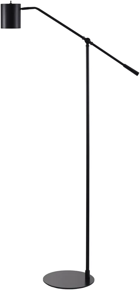 Talena  Painted 62"H x 16"W x 11"D Accent Floor Lamp