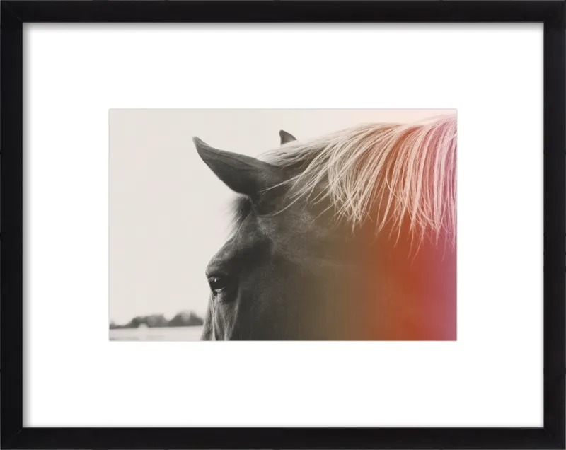 Pink Pony by Alicia Bock for Artfully Walls