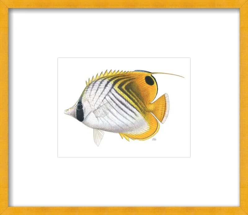 Threadfin butterflyfish by Emily S. Damstra for Artfully Walls