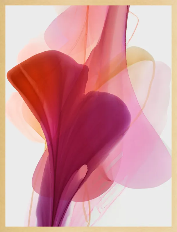 Abstract Flora Bloomlands 33 by Marta Spendowska for Artfully Walls