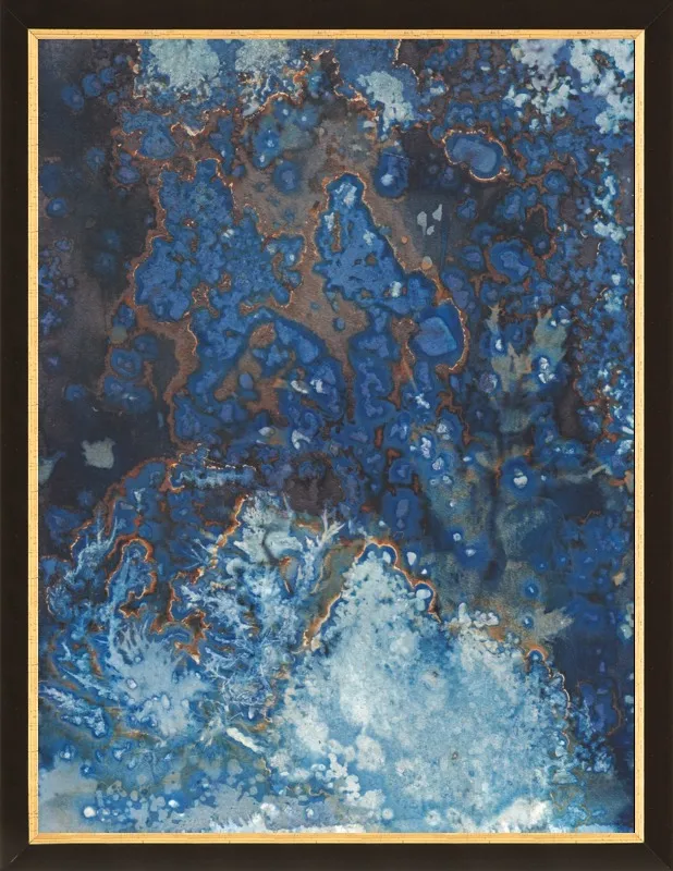 The Secret Life of Rockpools No. 27/100 by Desiree Elizabeth Malan for Artfully Walls