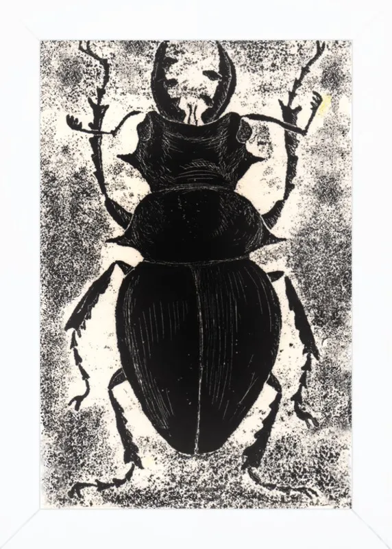 Black Beetle on White by Tennopent Sooster for Artfully Walls
