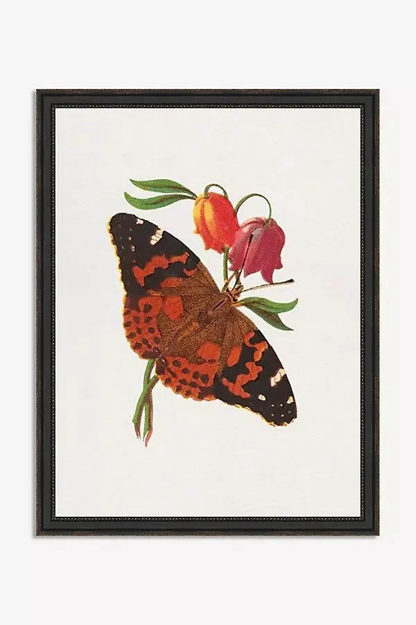 Bright Butterfly Wall Art
