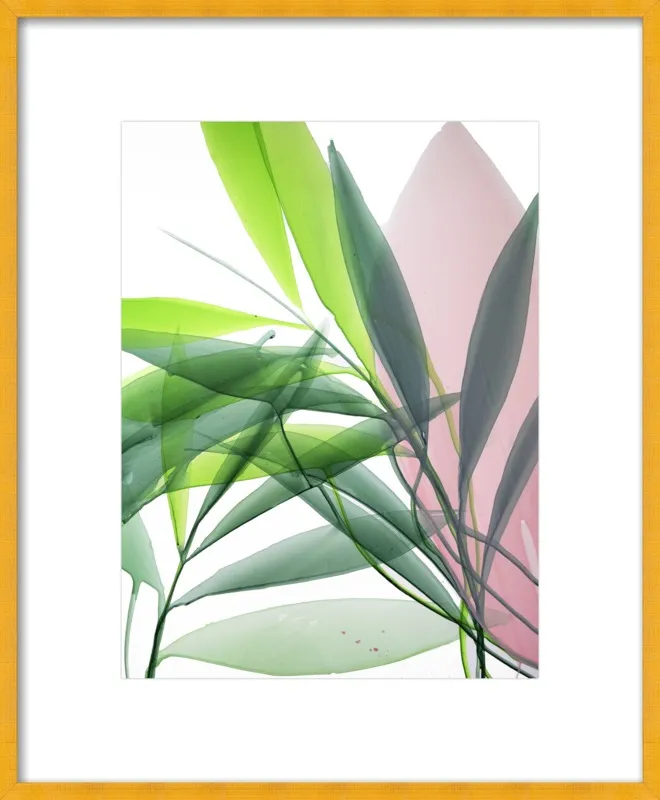 Tropical Study no. 15 by Marina Dunbar  for Artfully Walls