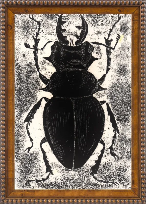 Black Beetle on White by Tennopent Sooster for Artfully Walls