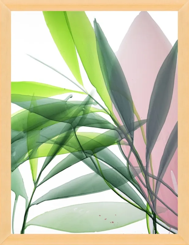 Tropical Study no. 15 by Marina Dunbar  for Artfully Walls
