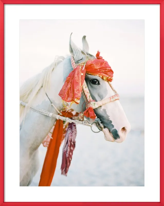 Marwari by Andrew Jacona for Artfully Walls