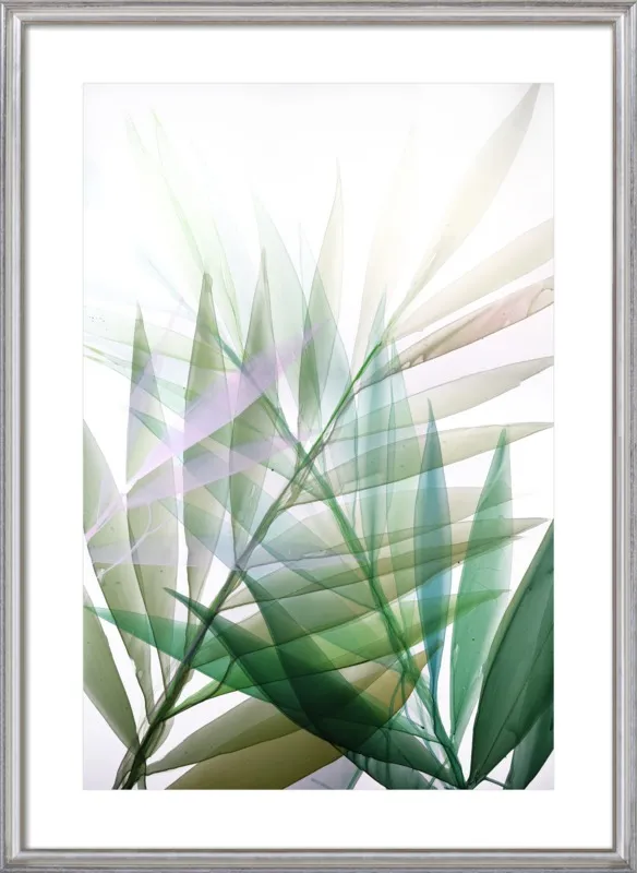 Tropical Study no. 8 by Marina Dunbar  for Artfully Walls