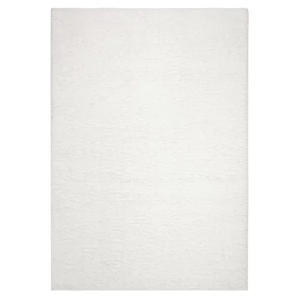 Autumn Loft Solid Shag Light Area Rug