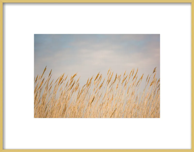 Nantucket Gold by Ann Hudec for Artfully Walls
