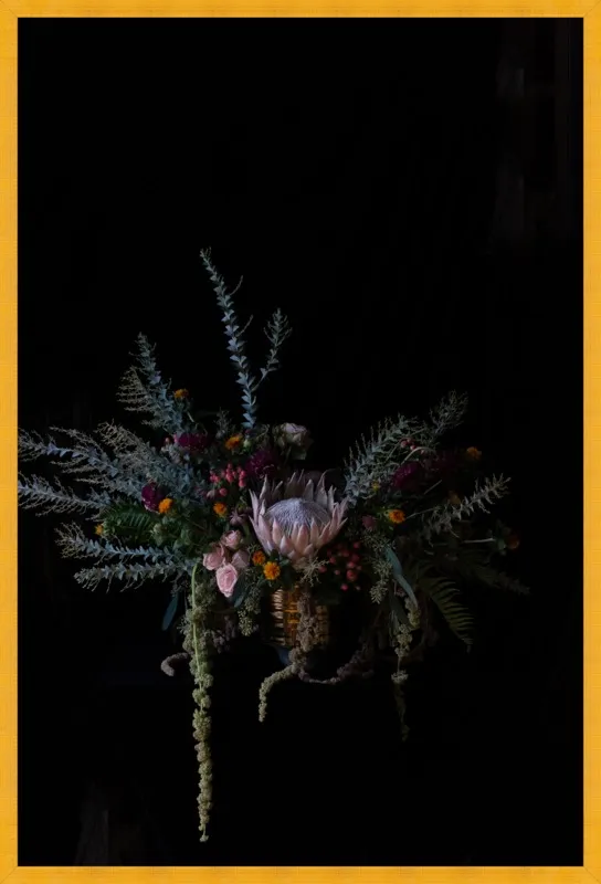 Protea Floral Still Life by Emilia Jane Schobeiri for Artfully Walls