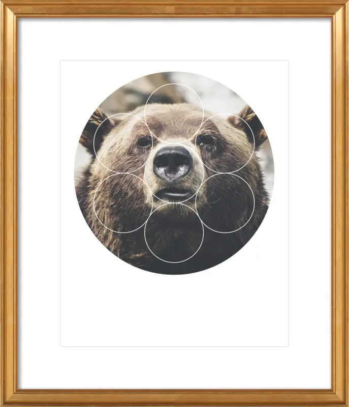 Big Bear Buddy - Geometric Photography by Emiliano Deificus for Artfully Walls