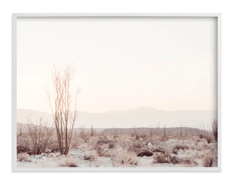 Ocotillo II Limited Edition Fine Art Print