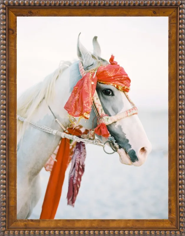 Marwari by Andrew Jacona for Artfully Walls