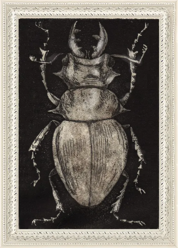 Grey Beetle on Black by Tennopent Sooster for Artfully Walls