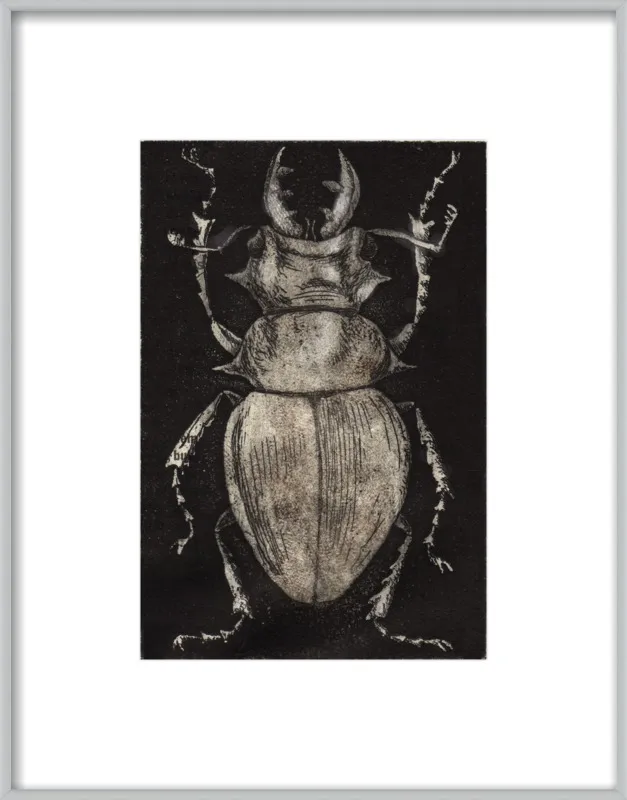 Grey Beetle on Black by Tennopent Sooster for Artfully Walls
