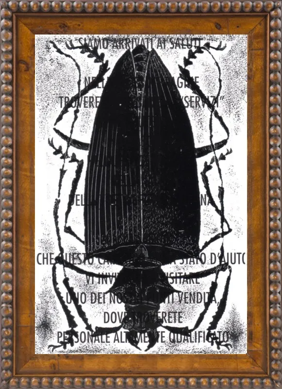 Black Beetle on Words by Tennopent Sooster for Artfully Walls