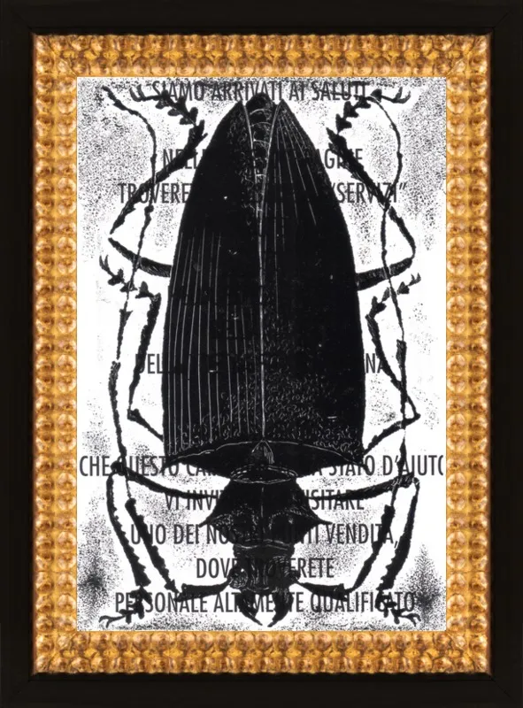 Black Beetle on Words by Tennopent Sooster for Artfully Walls