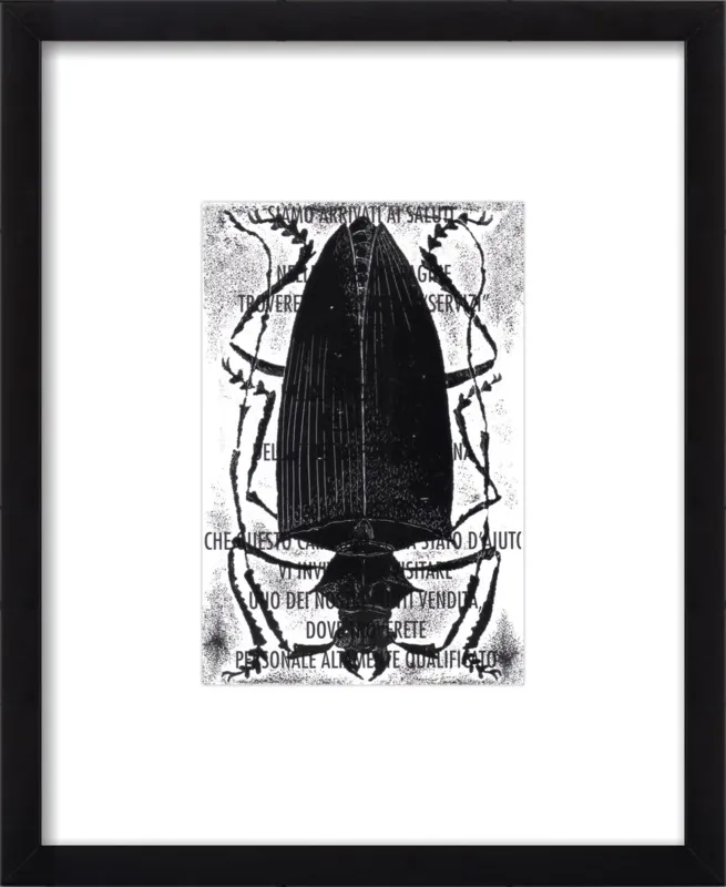 Black Beetle on Words by Tennopent Sooster for Artfully Walls