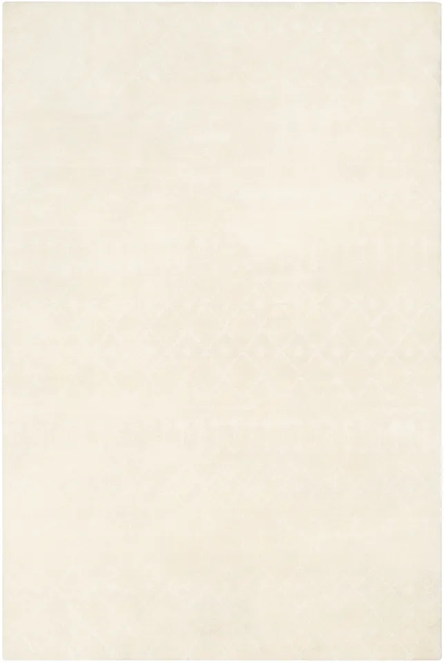 Casa White Indoor 2' x 3' Handmade Rug